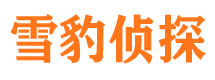 安平私人侦探